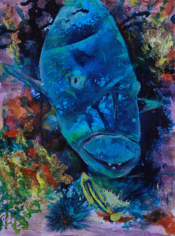 Gus the Blue Groper Original Oil Painting by Cory Acorn.